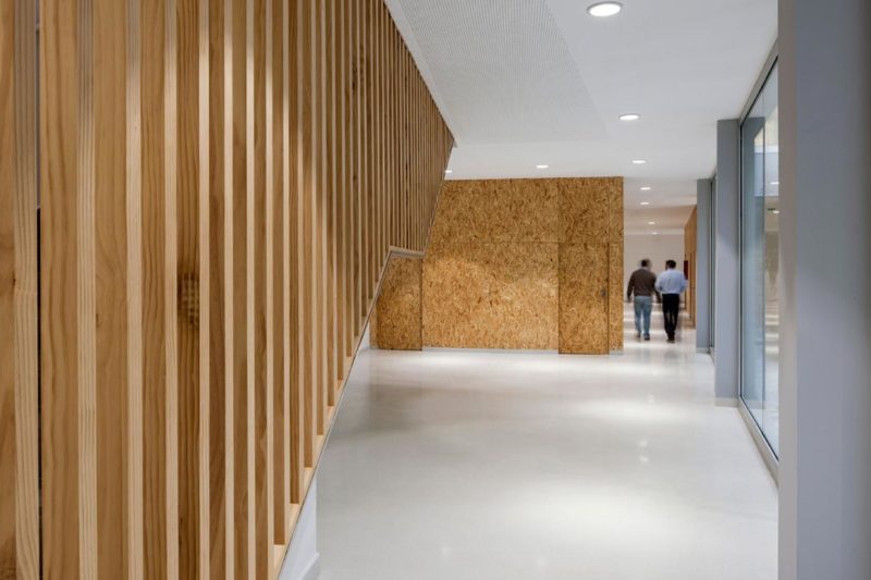 Universidad de Cáceres